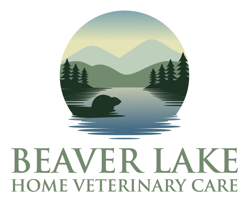 Beaver Lake HVC