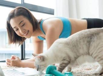 How To Train Your Cat (Not a Kids Movie!)