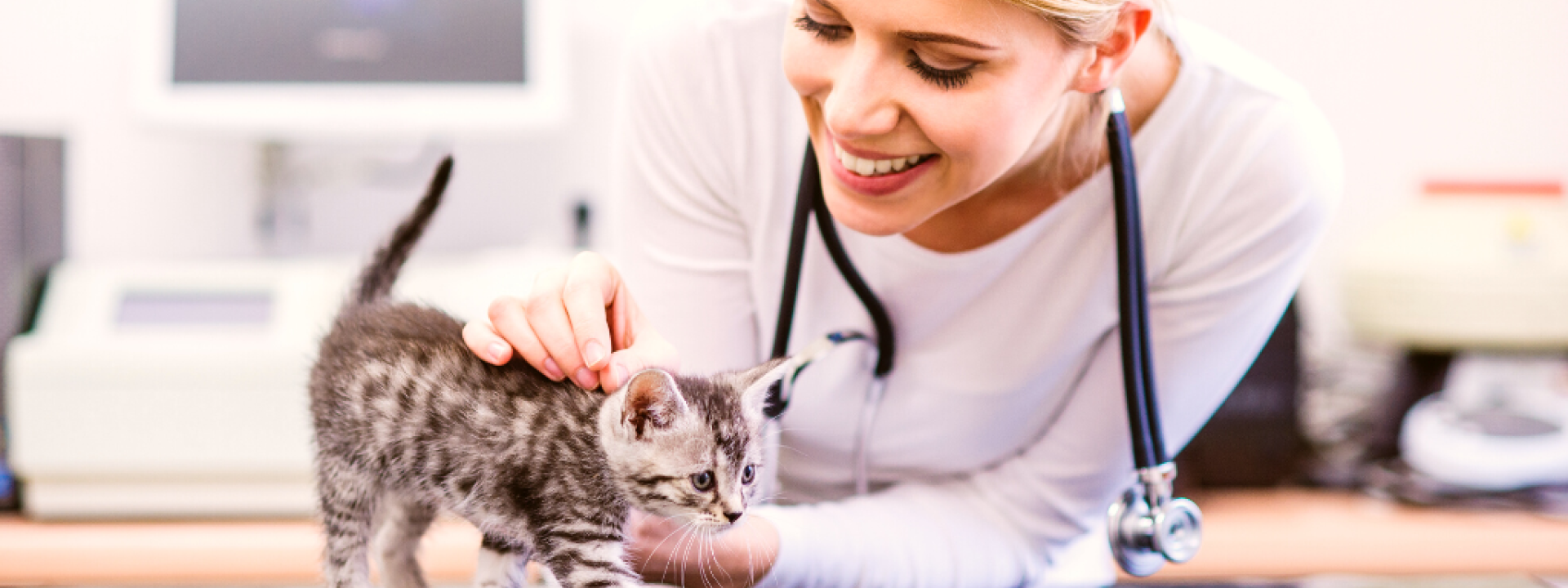 Veterinarian with stethoscope