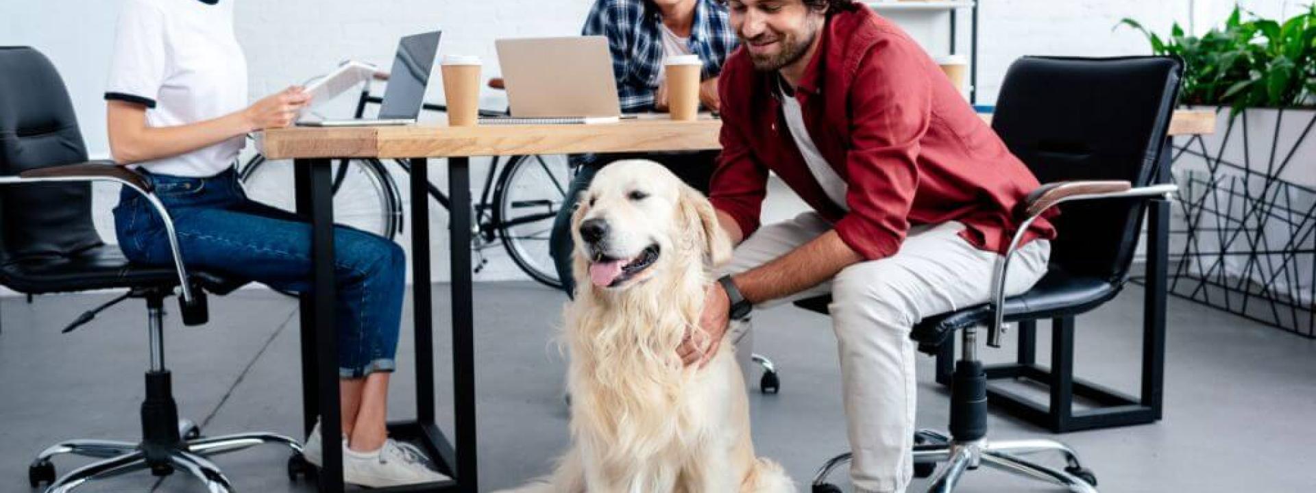 National Take Your Dog to Work Day – An Etiquette Guide to Success