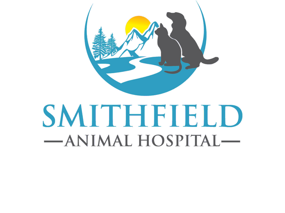 Health Certificates | Smithfield Animal Hospital